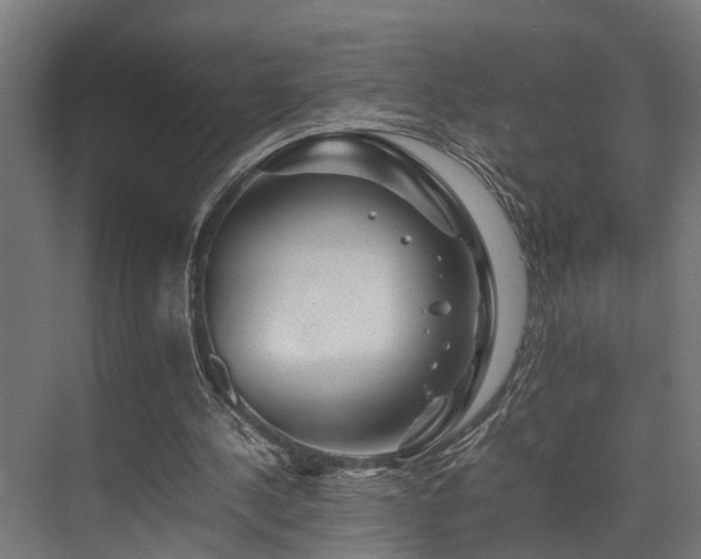 X0000074290244200608251351