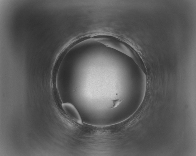 X0000074290248200608251351