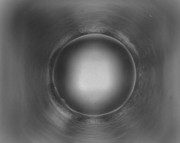 X0000074290250200608251351