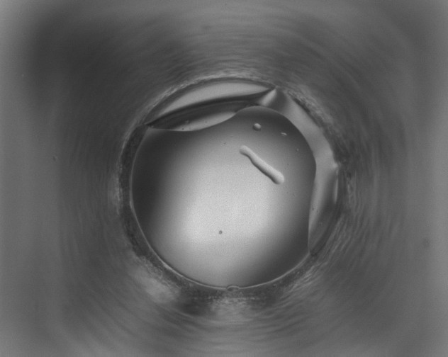 X0000074290252200608251352