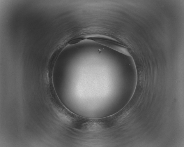 X0000074290254200608251352