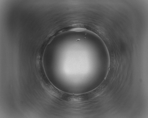 X0000074290263200608251352