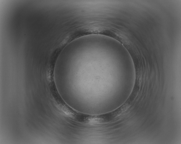 X0000074290268200608251352