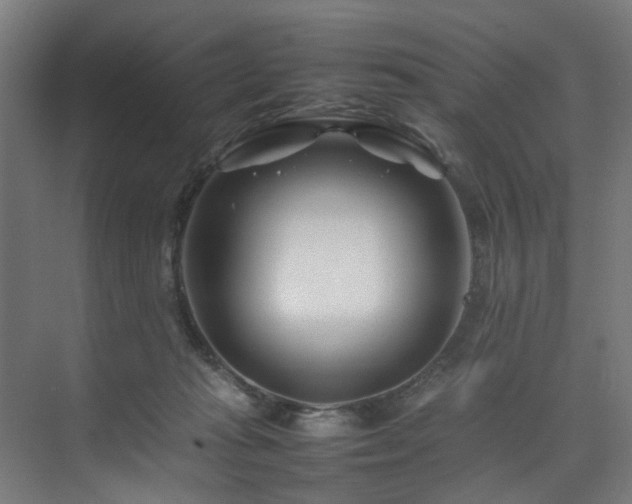 X0000074290269200608251352