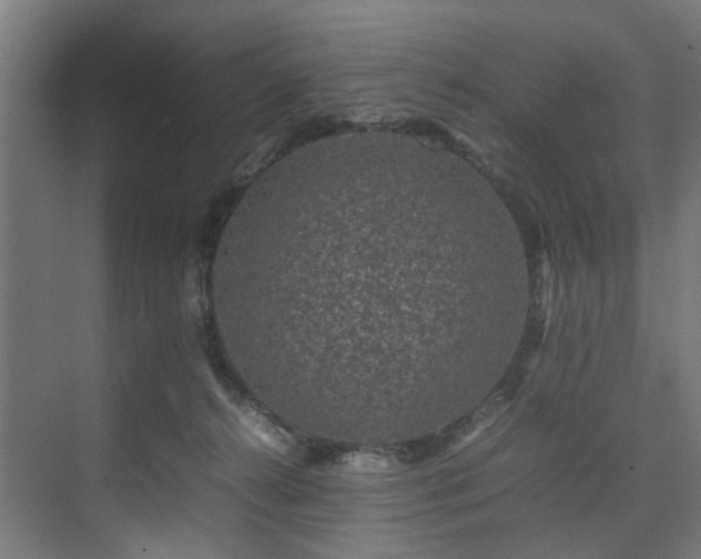 X0000074290272200608251352