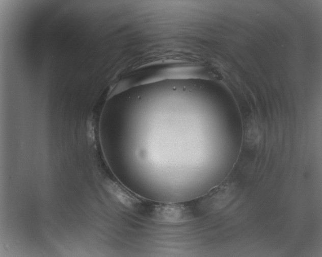 X0000074290282200608251352