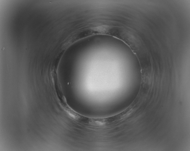 X0000074290285200608251352