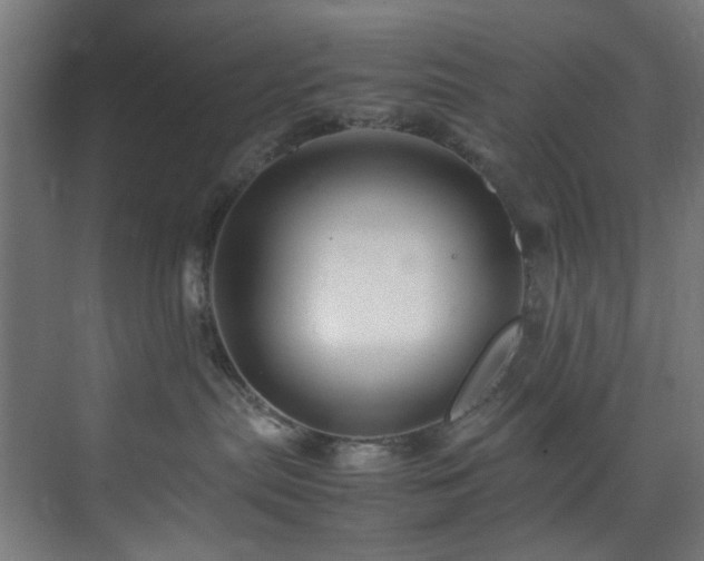 X0000074290287200608251352