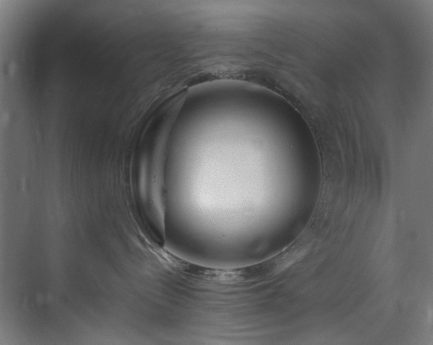 X0000074290288200608251352