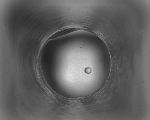 X0000074290289200608251351