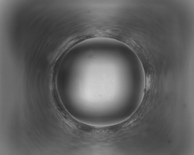 X0000074290291200608251351