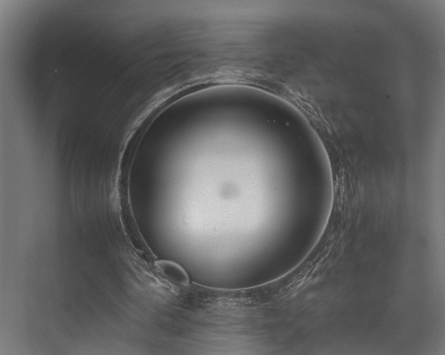 X0000074290292200608251351