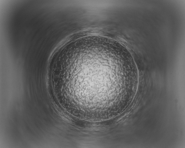 X0000074290293200608251351