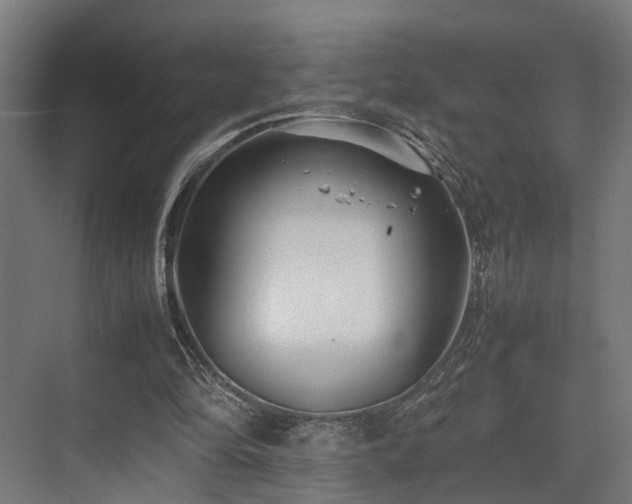 X0000074290294200608251351