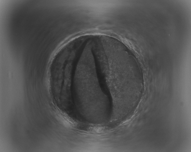 X0000074290295200608251351