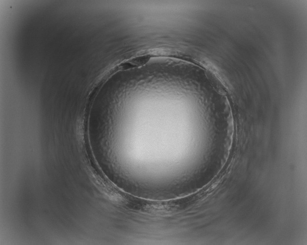 X0000074290297200608251351