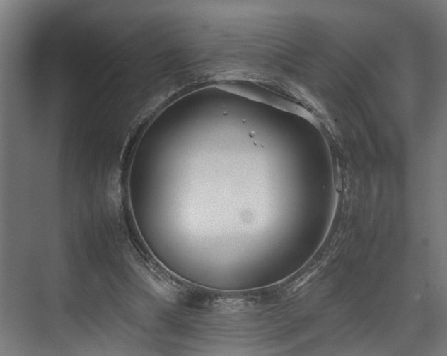 X0000074290298200608251351