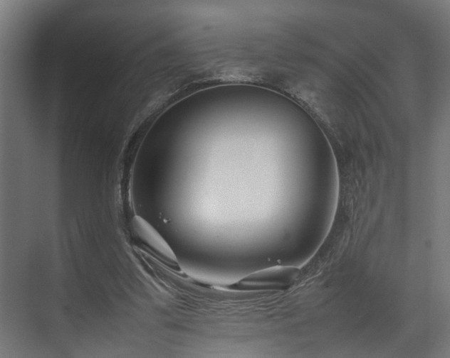 X0000074290299200608251351