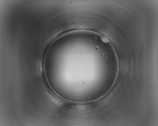 X0000074290302200608251351