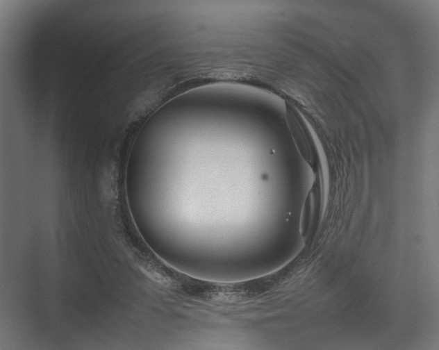 X0000074290303200608251351