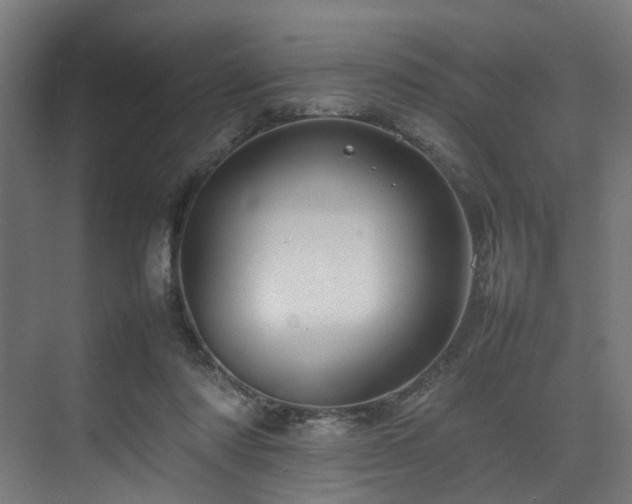 X0000074290310200608251351