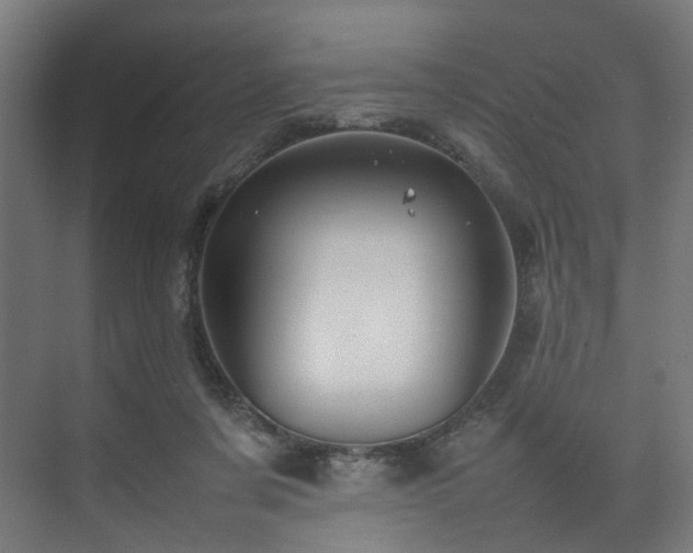 X0000074290311200608251351