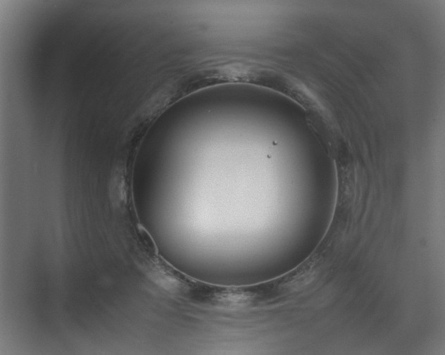 X0000074290313200608251351