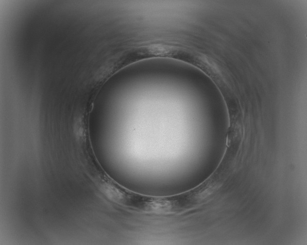 X0000074290317200608251351