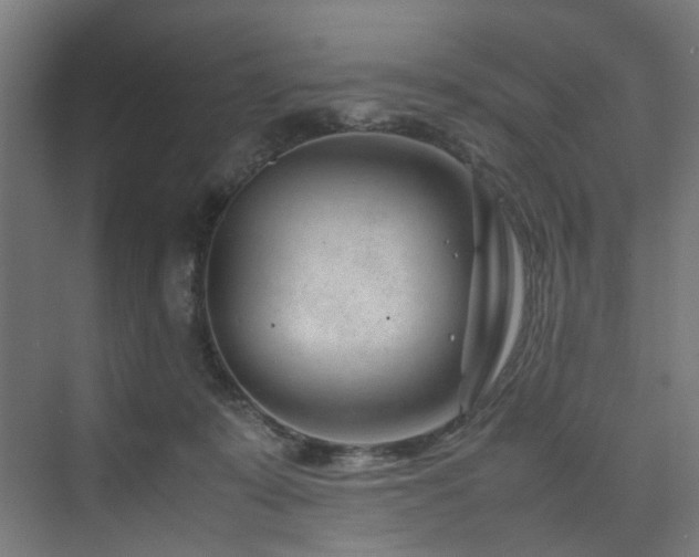 X0000074290319200608251351