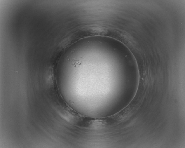 X0000074290320200608251351