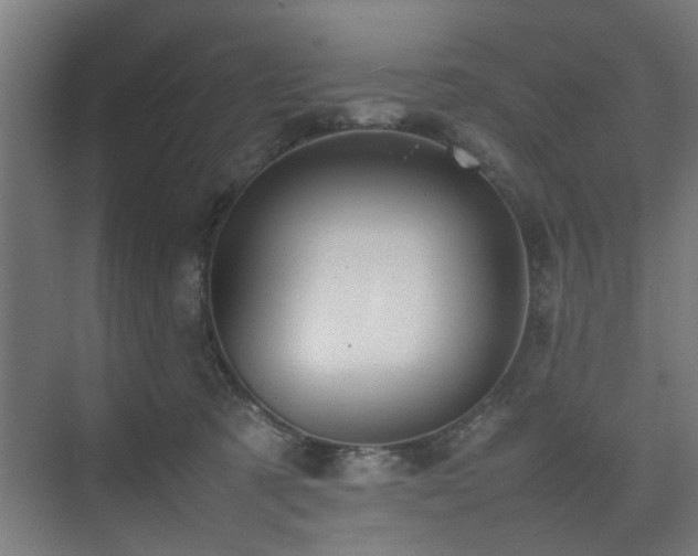 X0000074290321200608251351