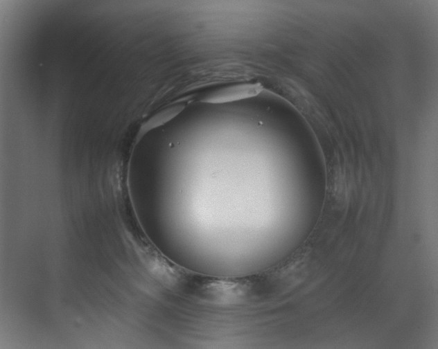 X0000074290326200608251351