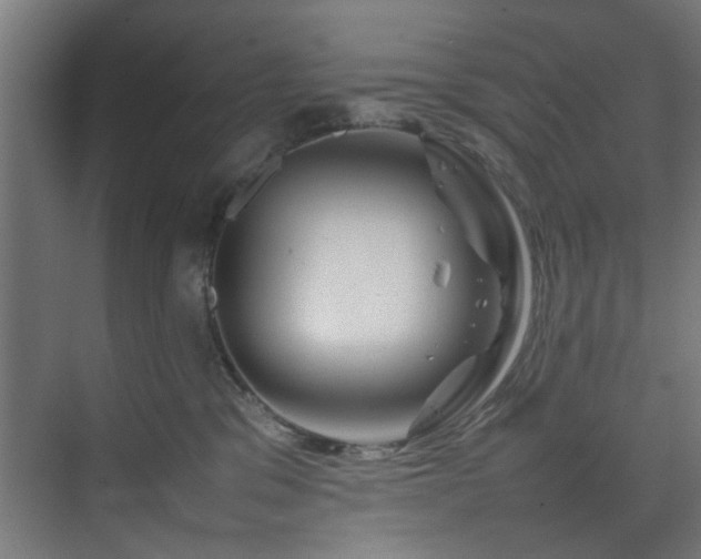 X0000074290329200608251351