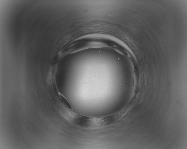 X0000074290333200608251351