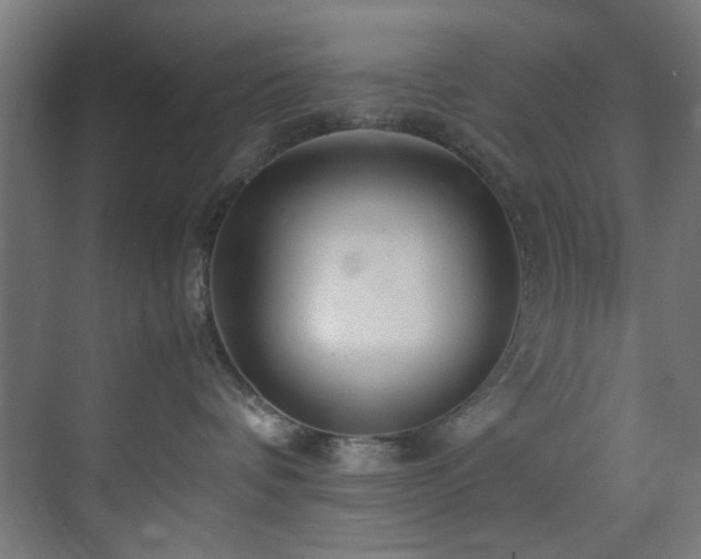 X0000074290336200608251351