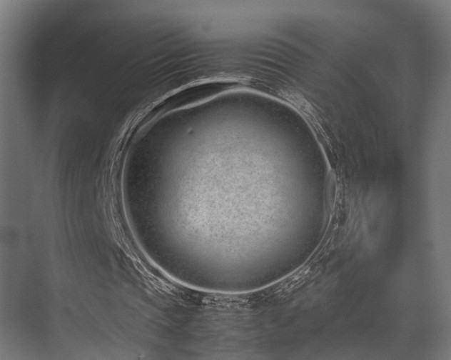 X0000074290337200608251350