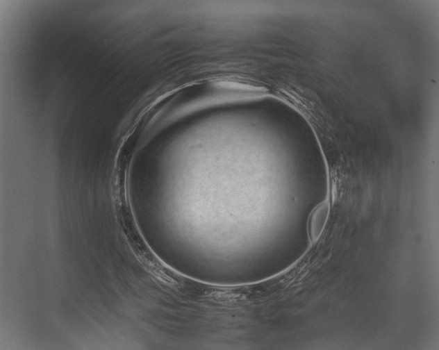 X0000074290339200608251350