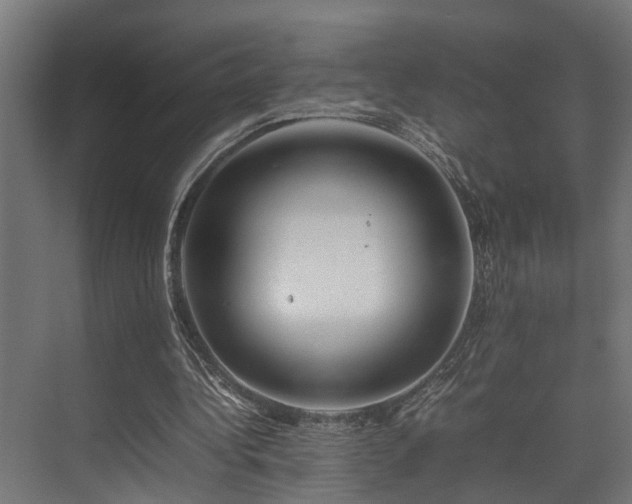 X0000074290340200608251350