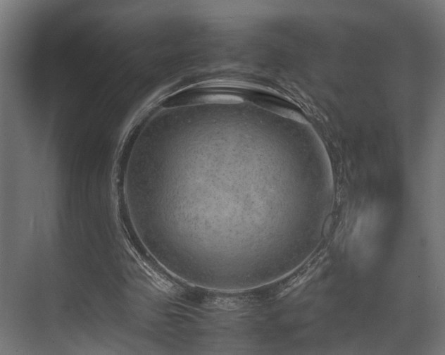 X0000074290341200608251350