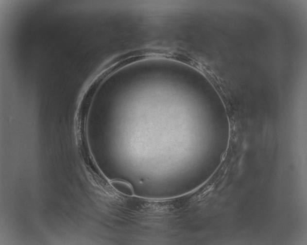 X0000074290343200608251350