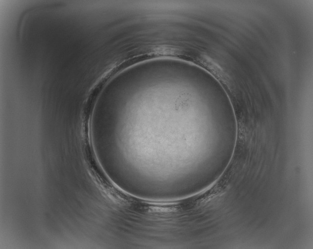 X0000074290347200608251350