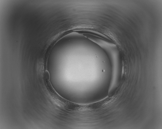 X0000074290348200608251350