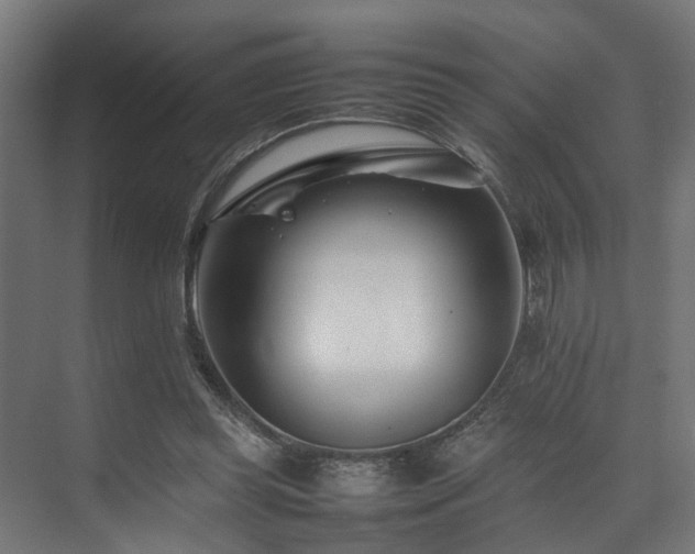 X0000074290349200608251350