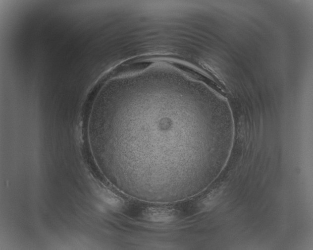 X0000074290351200608251350