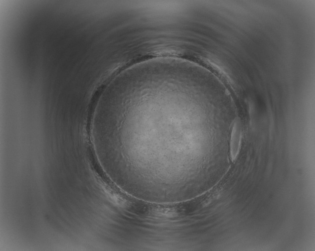 X0000074290353200608251350