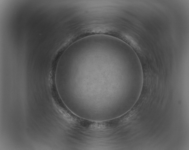 X0000074290354200608251350