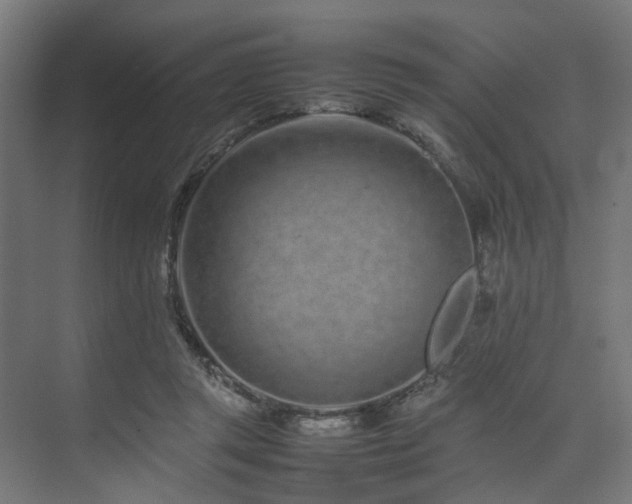 X0000074290357200608251350