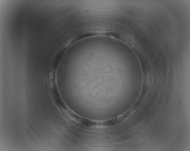 X0000074290360200608251350