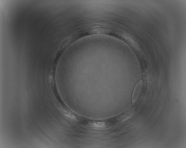 X0000074290361200608251350