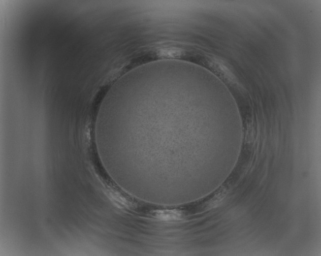 X0000074290363200608251350